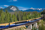 Luxury train trips