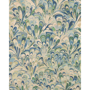 Ellis Paper - Bayside