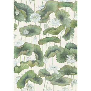 Lily Lotus - White/Cream