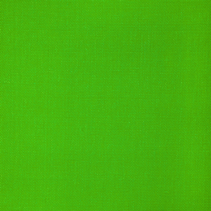 Sarasota Weave - Wild Lime