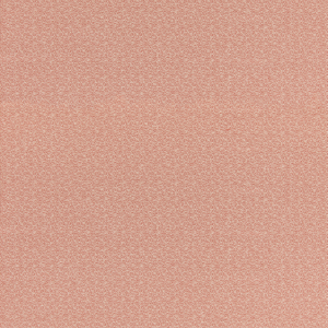 Morton - Coral