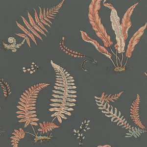 Ferns - Coral/Charcoal