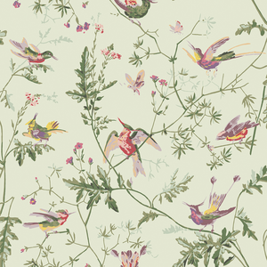 Hummingbirds - Green Multi-Colour