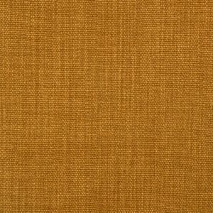 Prairie Texture - Amber
