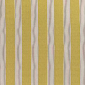 Lambert Stripe - Yellow