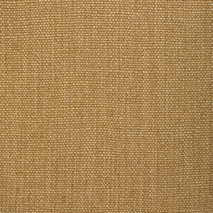 Prairie Texture - Straw