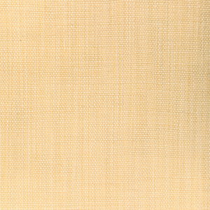 Prairie Texture - Ivory