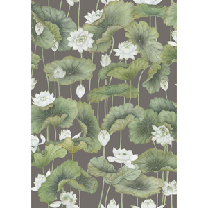 Lily Lotus - White/Charcoal 
