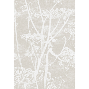 Cow Parsley - Wht Taupe