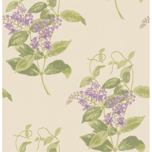 Madras Violet - Olive & Lavender