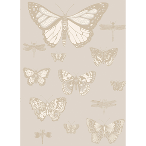Butterflies & Dragonflies - Grey
