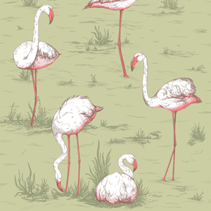 Flamingos - Olive