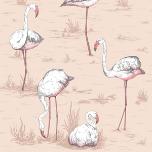 Flamingos - Plaster Pink