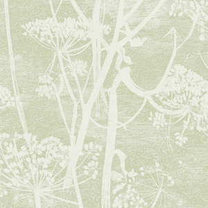Cow Parsley - Olive