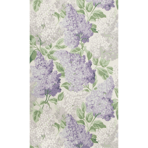 Lilac - Lilac/Dove/White