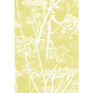 Cow Parsley - White/Y