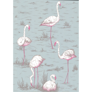 Flamingos - Oale Bl