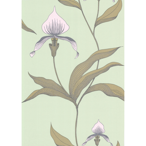 Orchid - Pale Gr