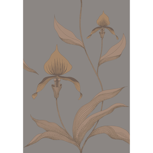 Orchid - Bronze/Slate