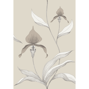 Orchid - Linen/White