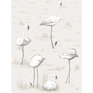 Flamingos - Charcoal/Wht