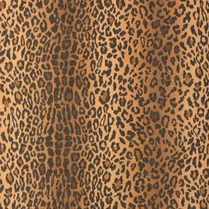 Safari Warp Print - Canyon