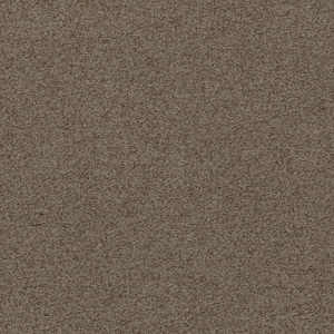 Baker House Boucle - Taupe