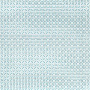 Sylvan Print - Aqua