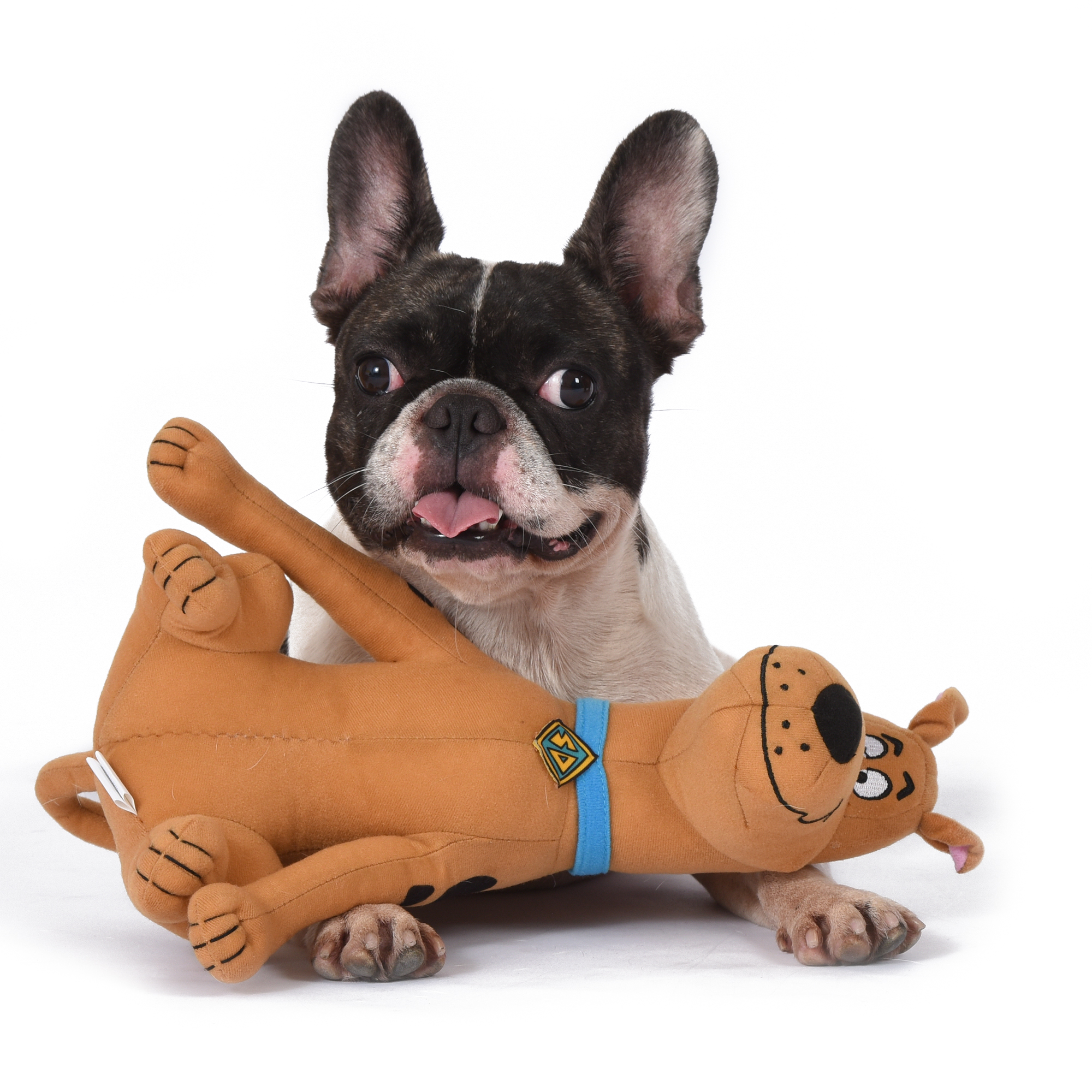 6 Inch Plush Dog Toy for All Dogs Scooby-Doo Warner Brothers Big Head Scrappy-Doo Small Dog Toy Chew Toy for Dogs Toys for Dogs FF12864 Brown Colored Soft Fabric Plush Dog Toy 