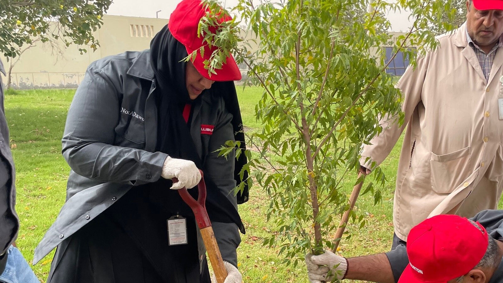 Tree planting in Houston, Tx