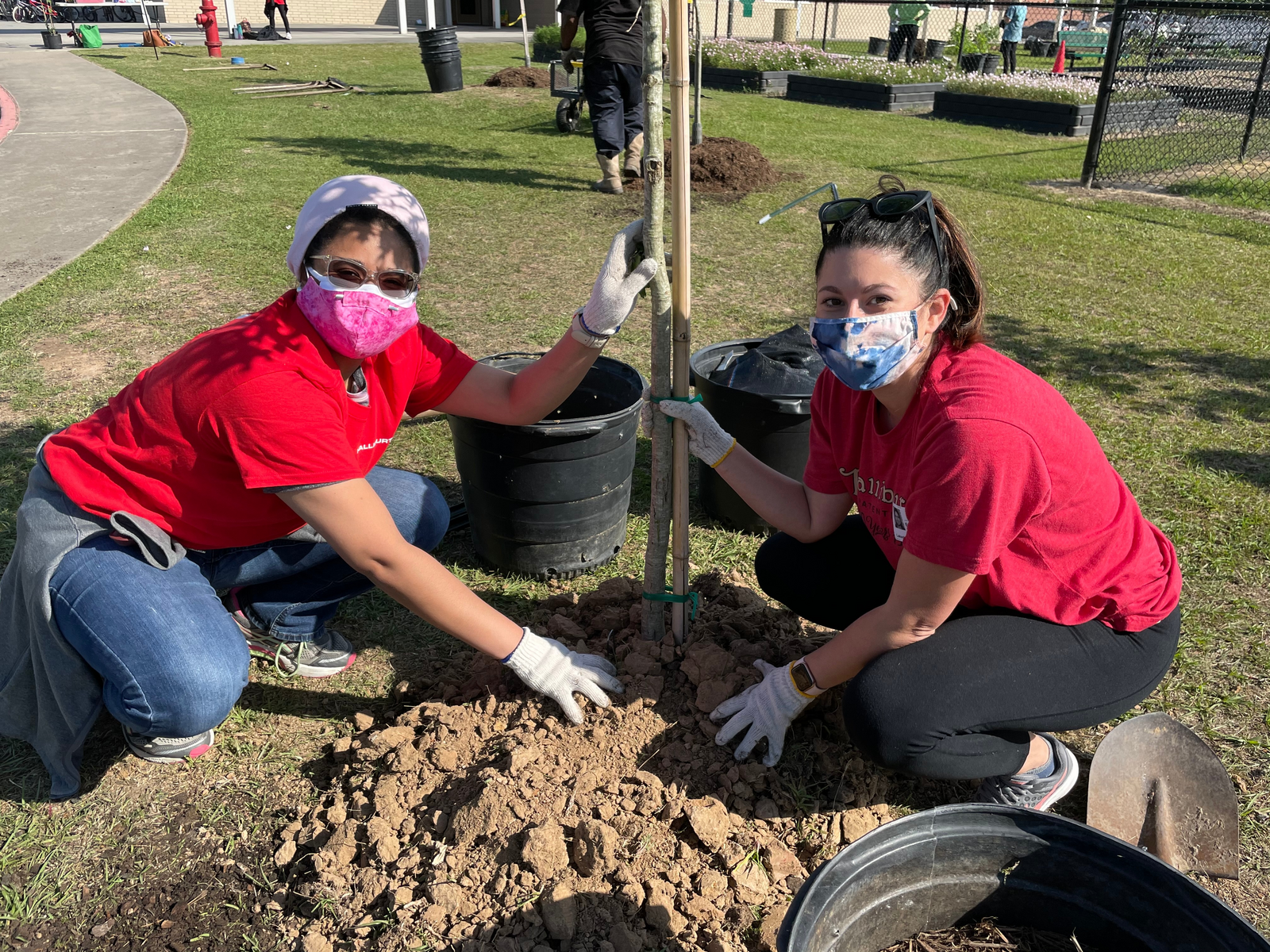 Houston tree planting activity