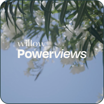 Willow Powerviews
