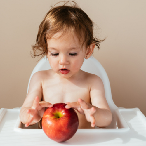 Baby-Led Weaning Starter Foods: What to Feed Your Baby