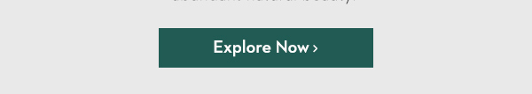 Explore Now >