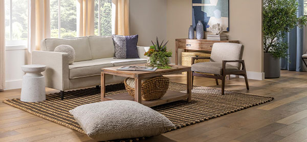 Living Room Ideas