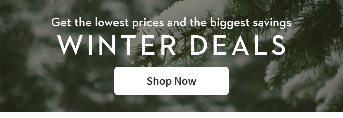 Get the lowest prices and the biggest savings | Winter Deals | Shop Now