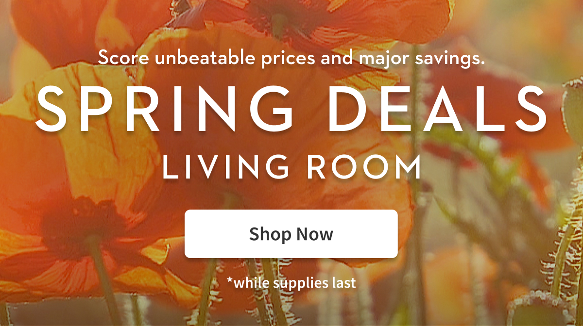 Score unbeatable prices and major savings. | Spring Deals Living Room | Shop Now | *while supplies last