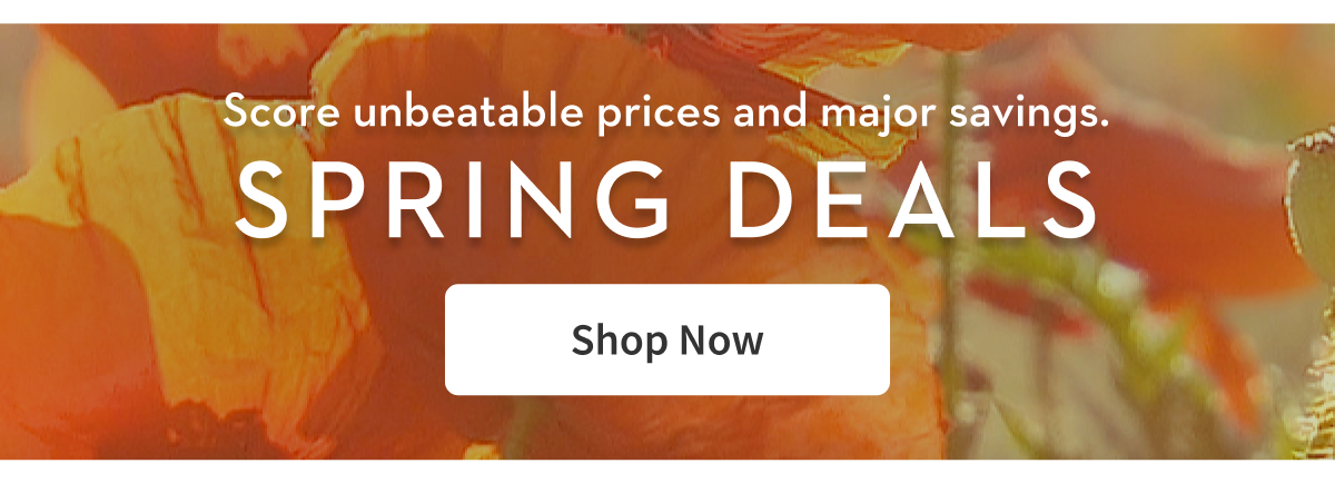 Spring Deals