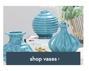 shop vaces >