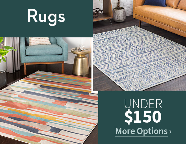Rugs Under 150 More Options