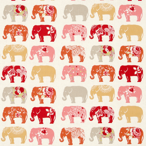 Elephants - Spice