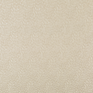 Kravet Basics - 34412-111