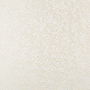 Kravet Basics - 34412-1