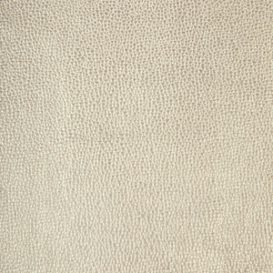 Kravet Design - Sparta-1101