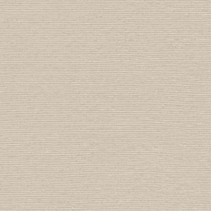 Radius - Putty