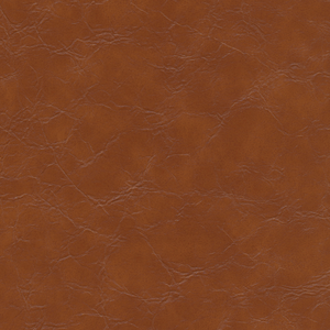 Kravet Design - Equine-606