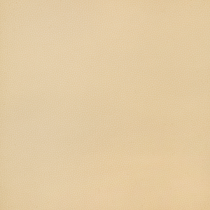 Kravet Design - Bind-16