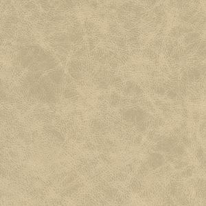 Kravet Design - Patch-11