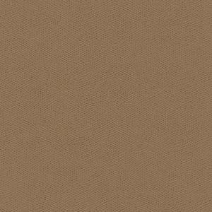 Kravet Design - Cured-11