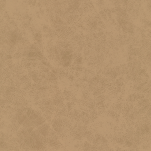 Kravet Design - Patch-106